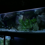 Aquarium 240 x 70 x70